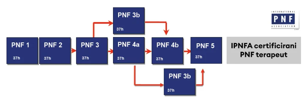 ipnfa kurikulum
